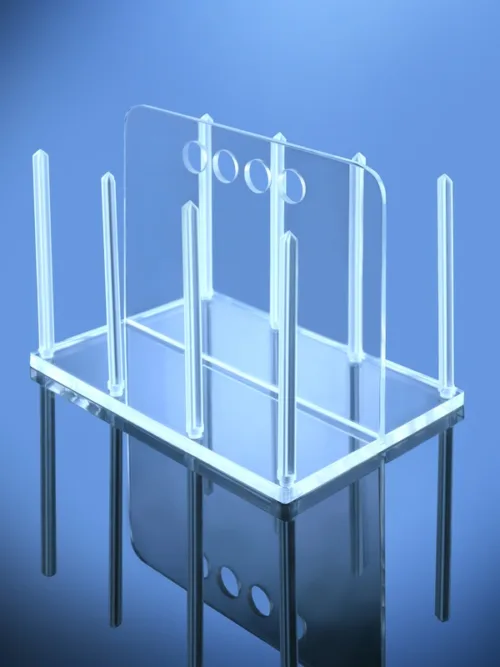 Rack For Petri Dishes